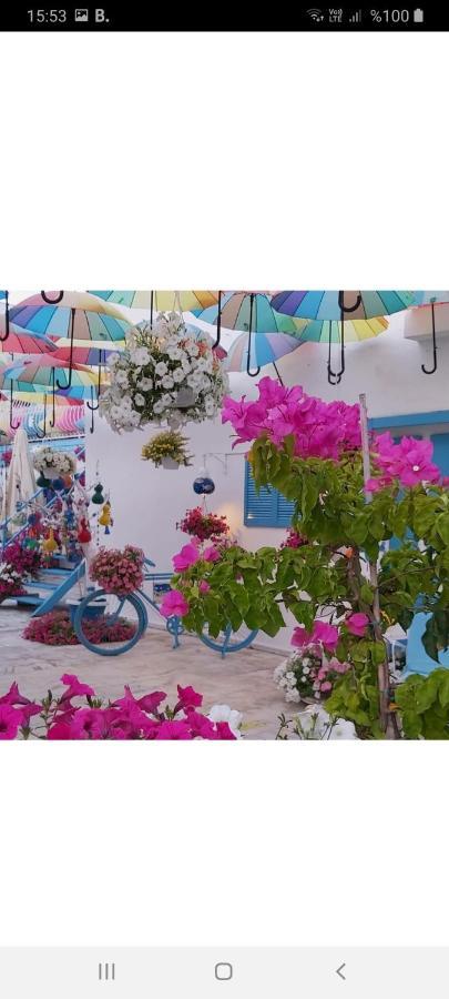 Duru Butik Otel Bodrum Buitenkant foto